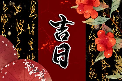 今日九星怎么读
